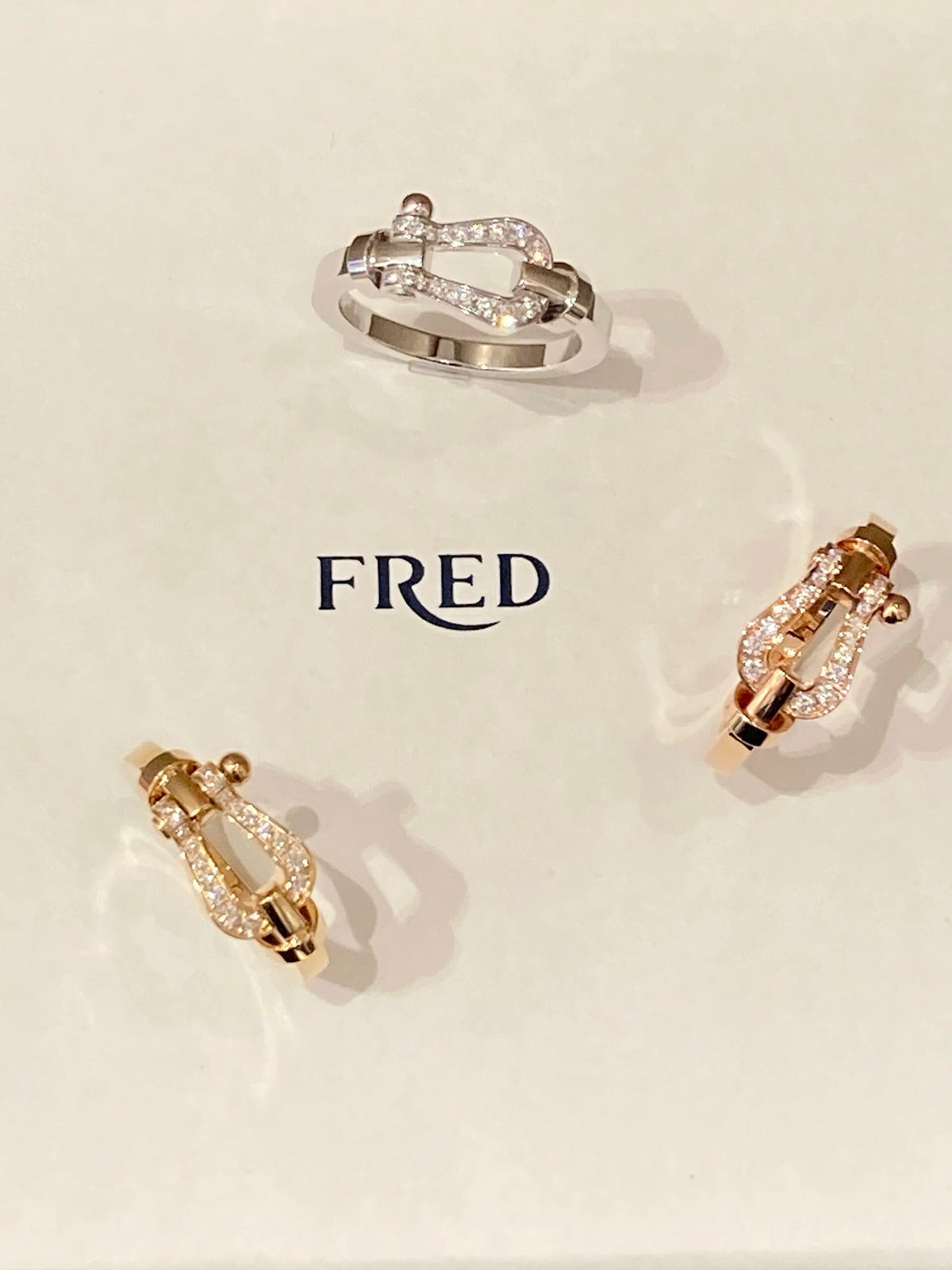 FRED ✨빛나는 빛에 조종당하세요! FORCE 10 시리즈 링