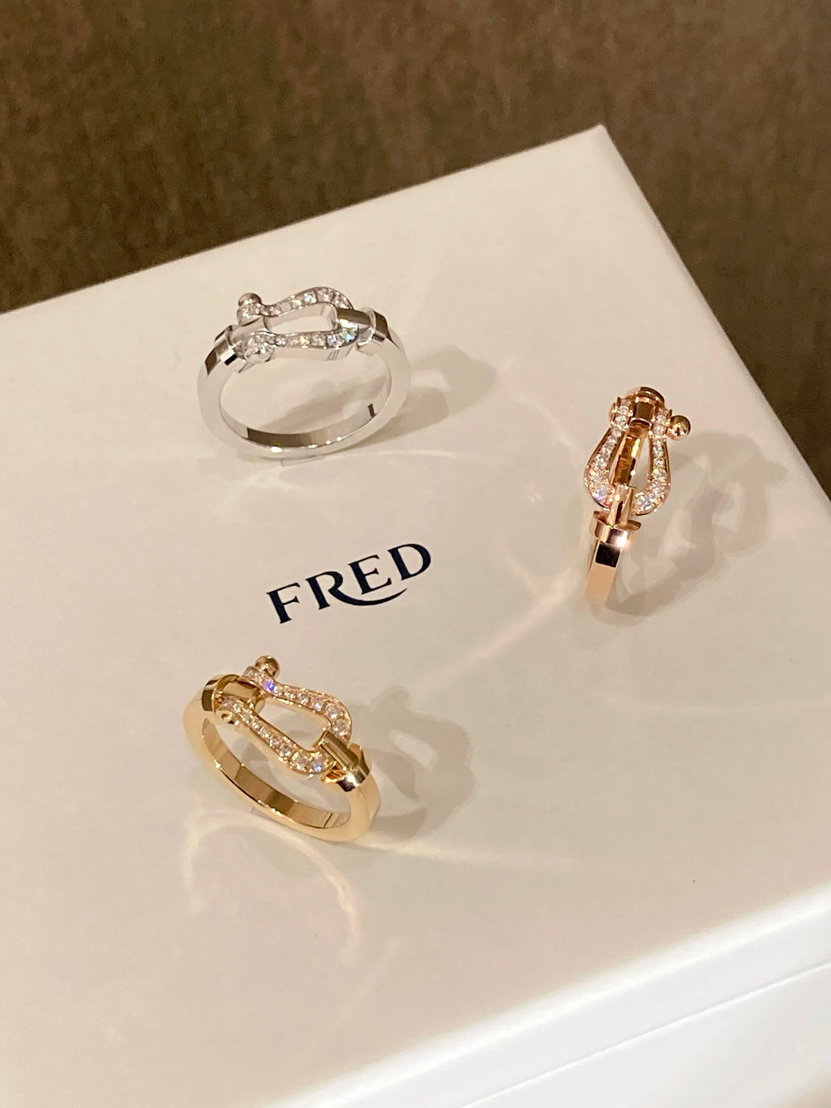 FRED ✨빛나는 빛에 조종당하세요! FORCE 10 시리즈 링