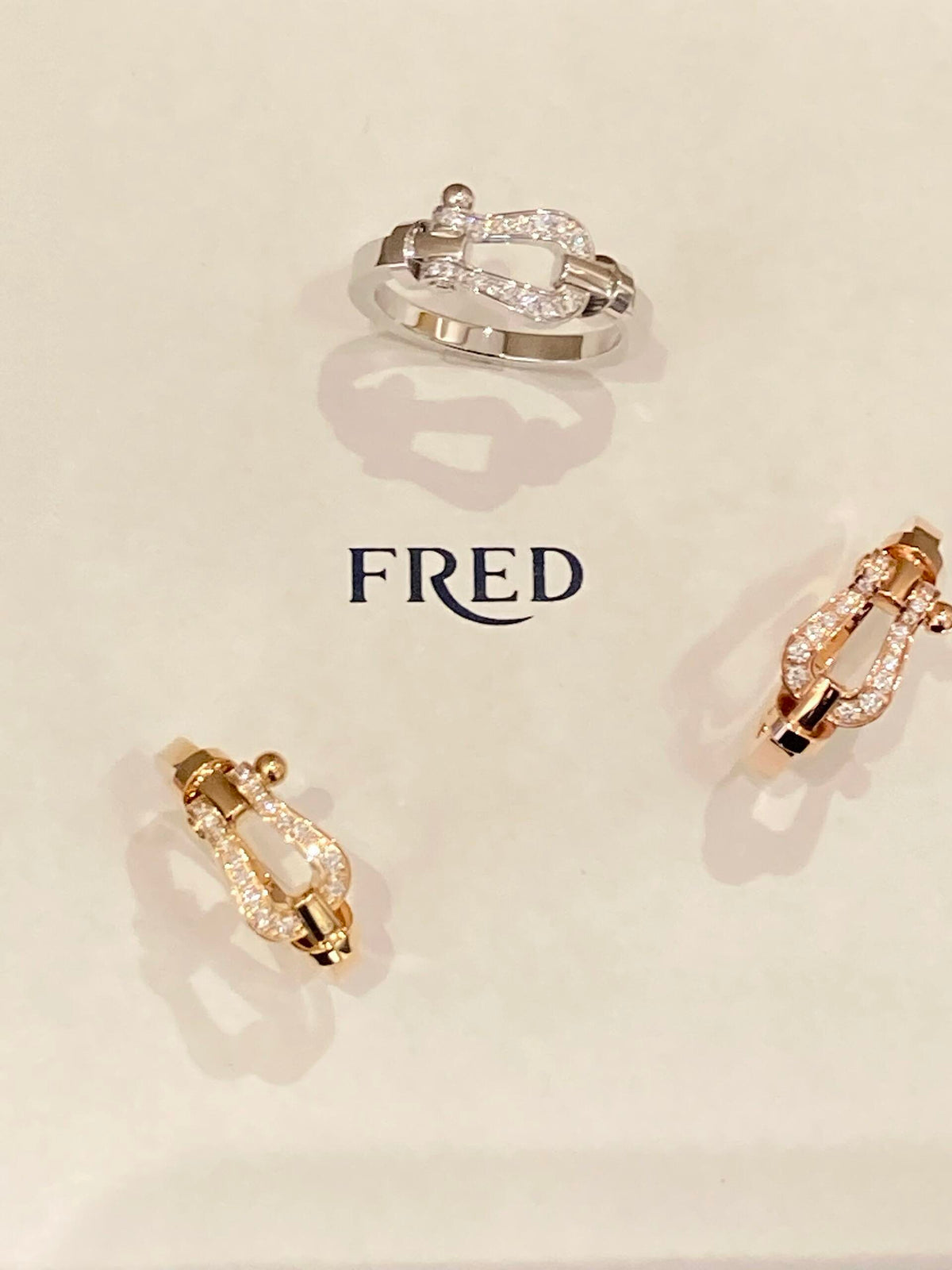 FRED ✨빛나는 빛에 조종당하세요! FORCE 10 시리즈 링