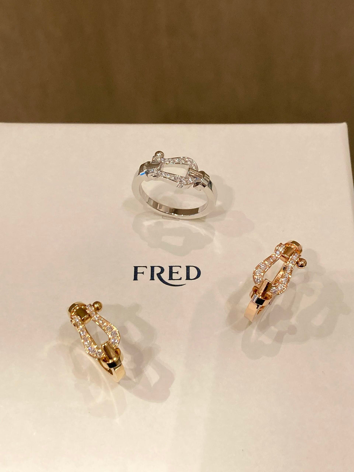 FRED ✨빛나는 빛에 조종당하세요! FORCE 10 시리즈 링