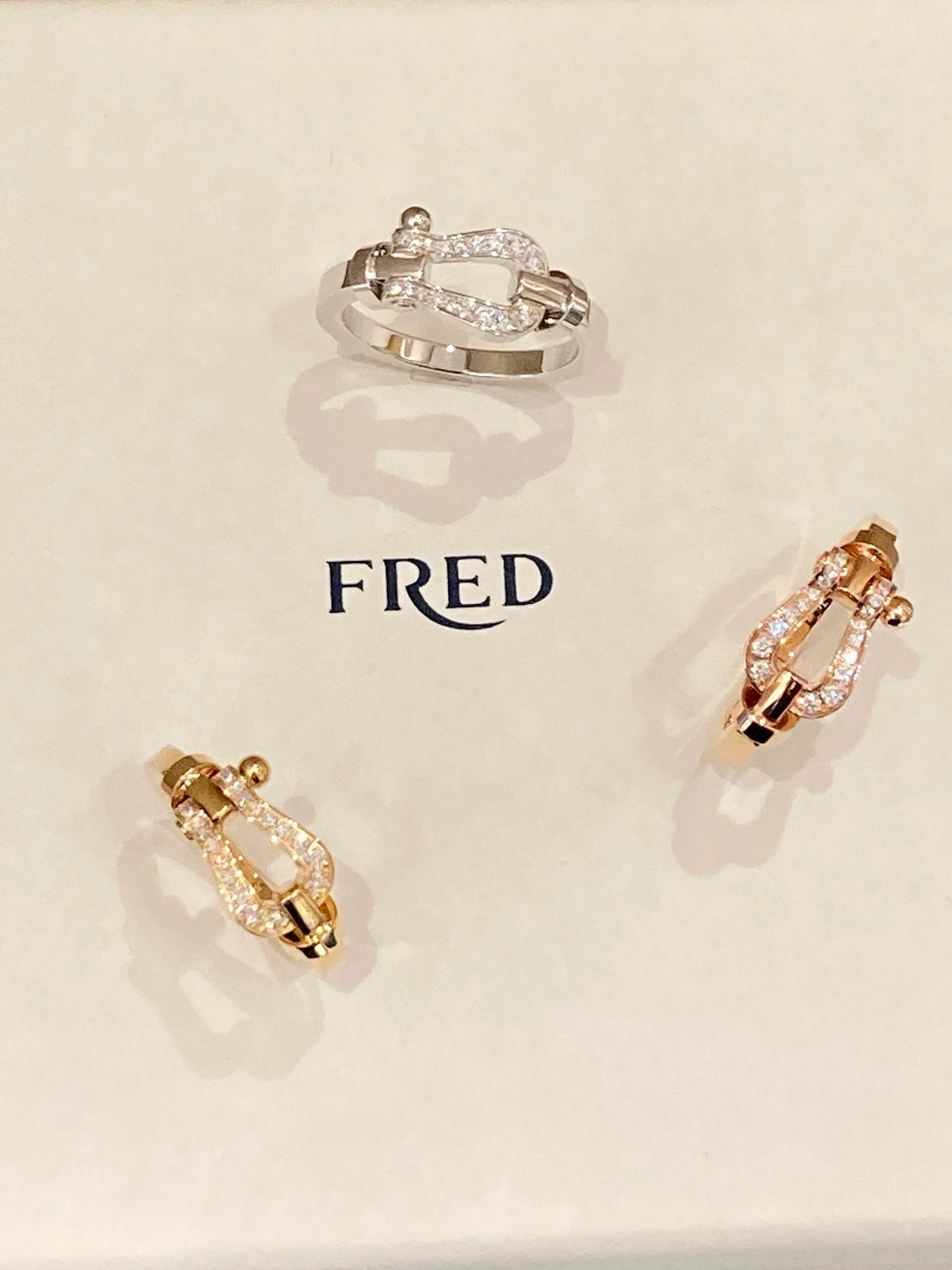 FRED ✨빛나는 빛에 조종당하세요! FORCE 10 시리즈 링
