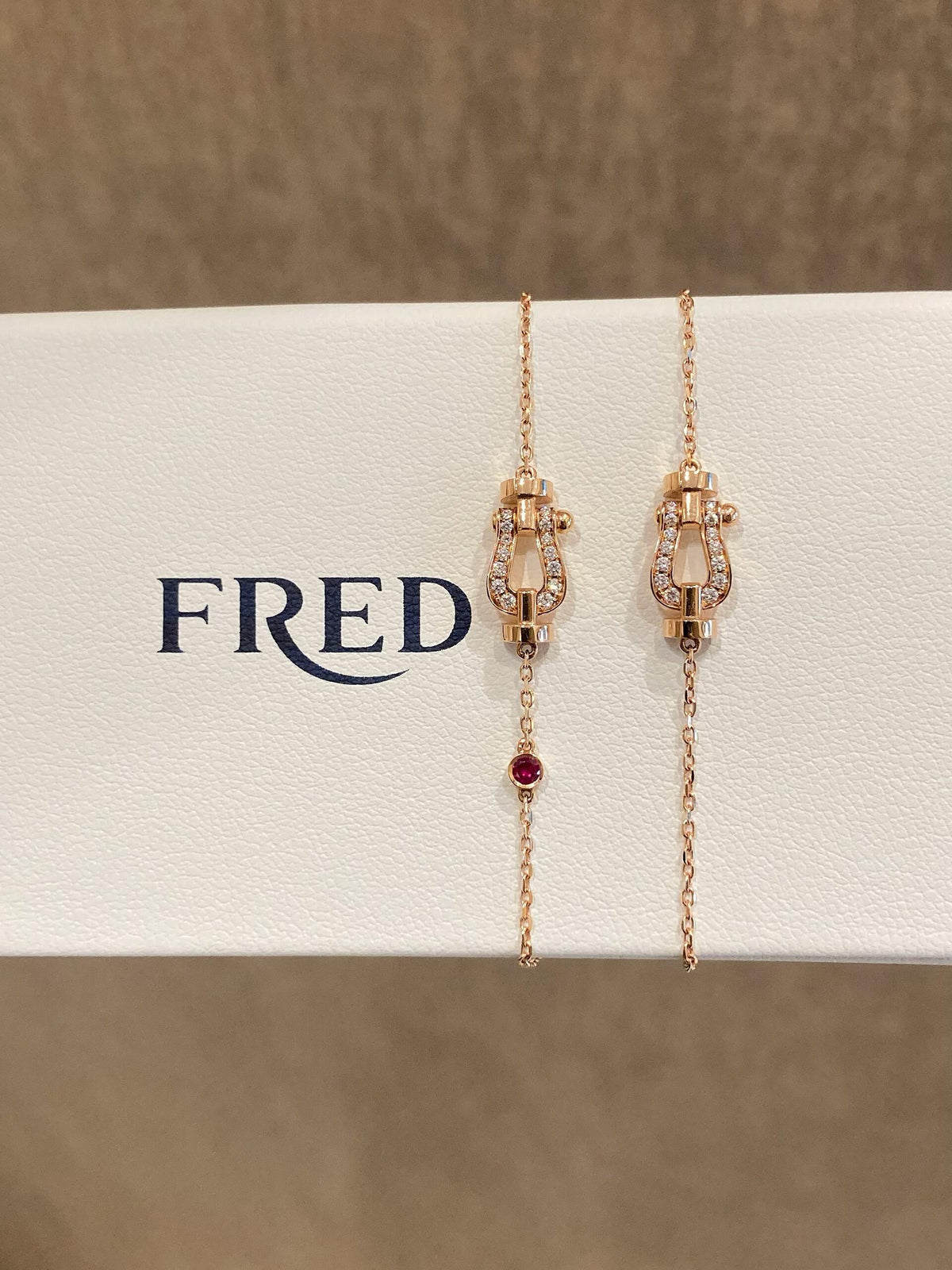 FRED ✨당신은 무적의 귀염둥이입니다! 반짝반짝 선물🎁