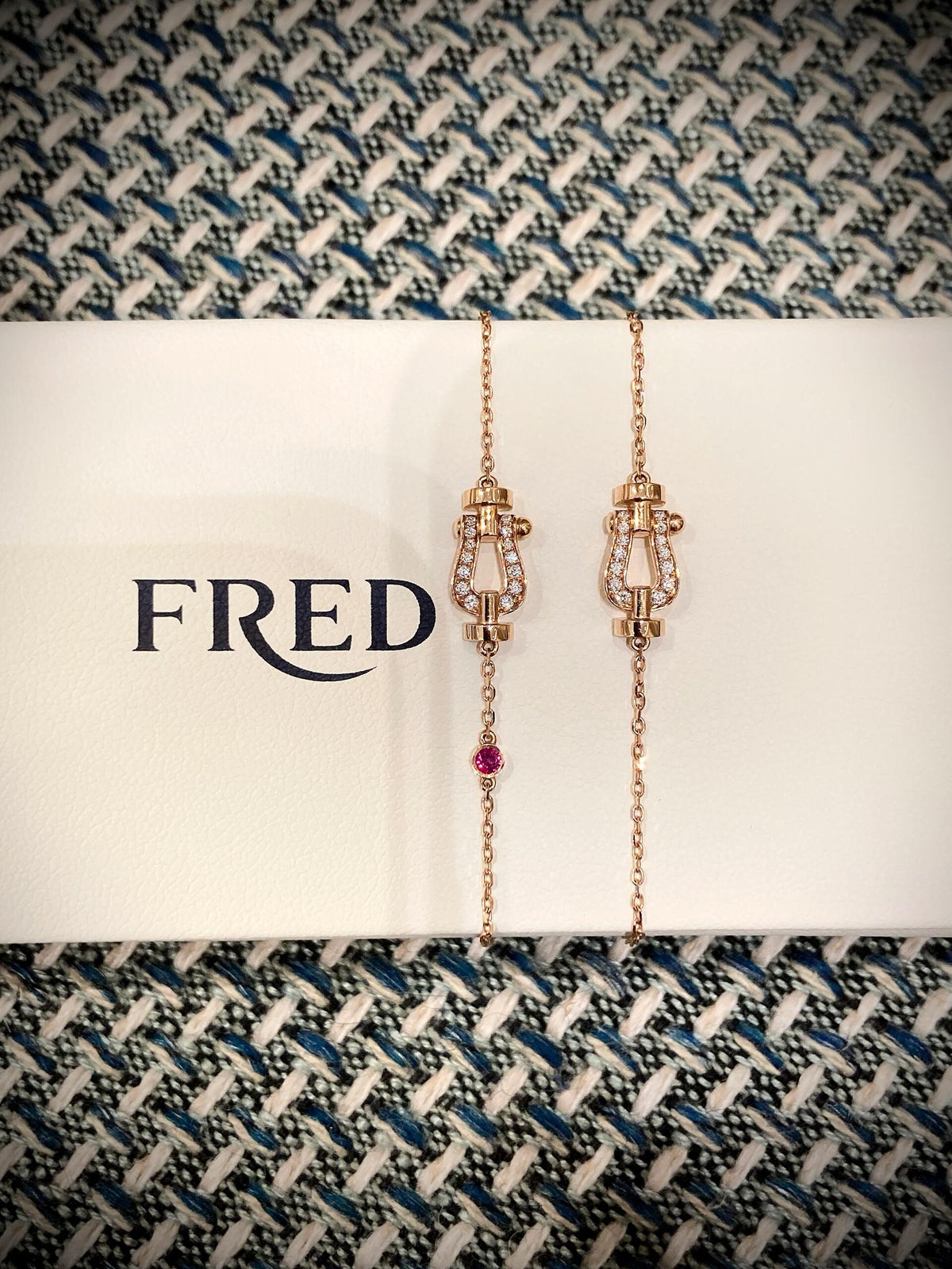 FRED ✨당신은 무적의 귀염둥이입니다! 반짝반짝 선물🎁