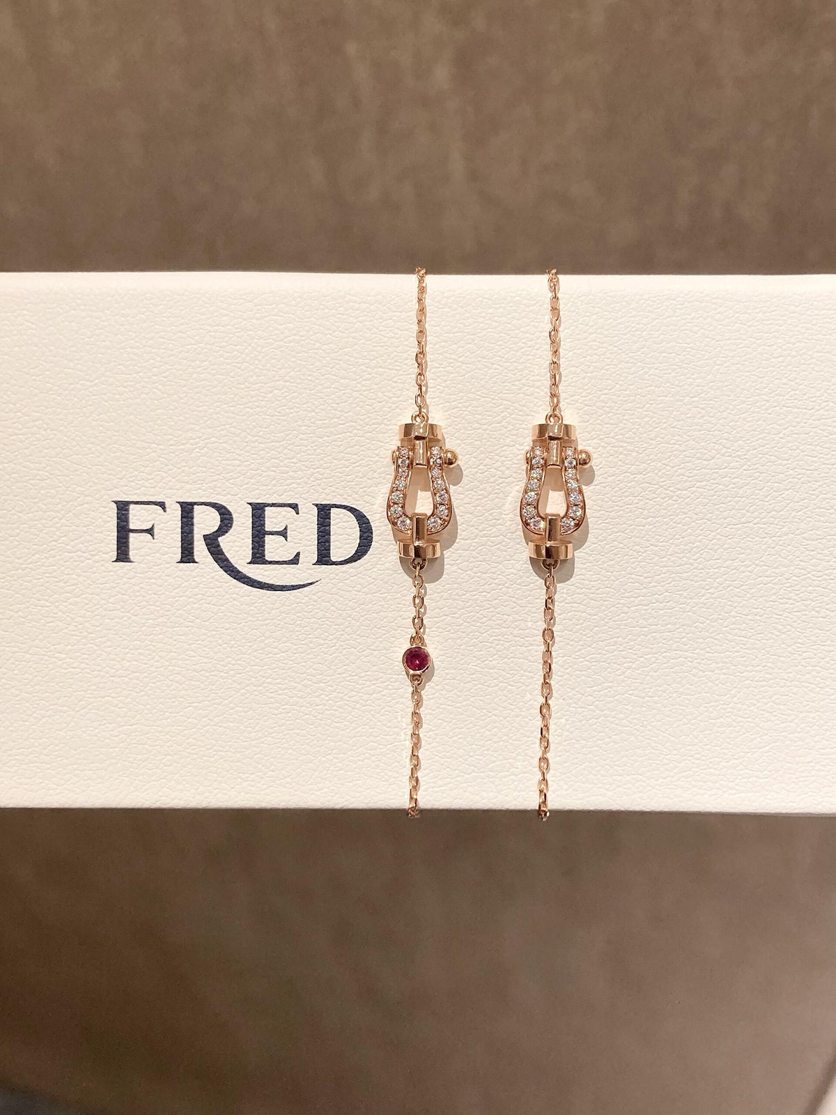FRED ✨당신은 무적의 귀염둥이입니다! 반짝반짝 선물🎁