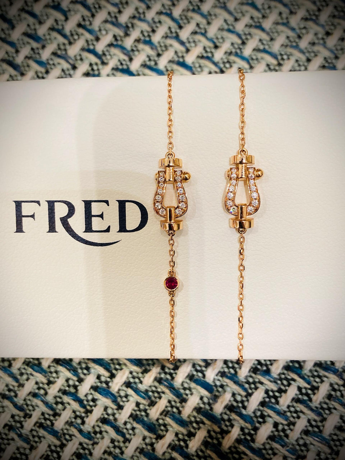 FRED ✨당신은 무적의 귀염둥이입니다! 반짝반짝 선물🎁
