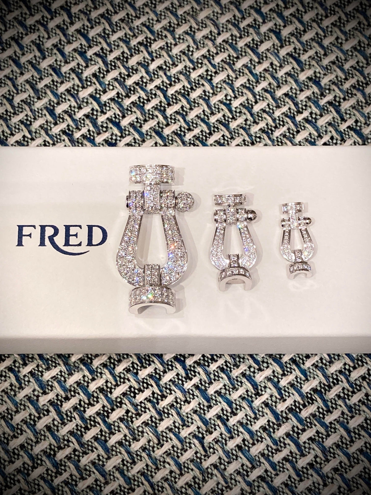 FRED ✨반짝반짝 반짝반짝 정말 반짝반짝해요! ! ｜프레드