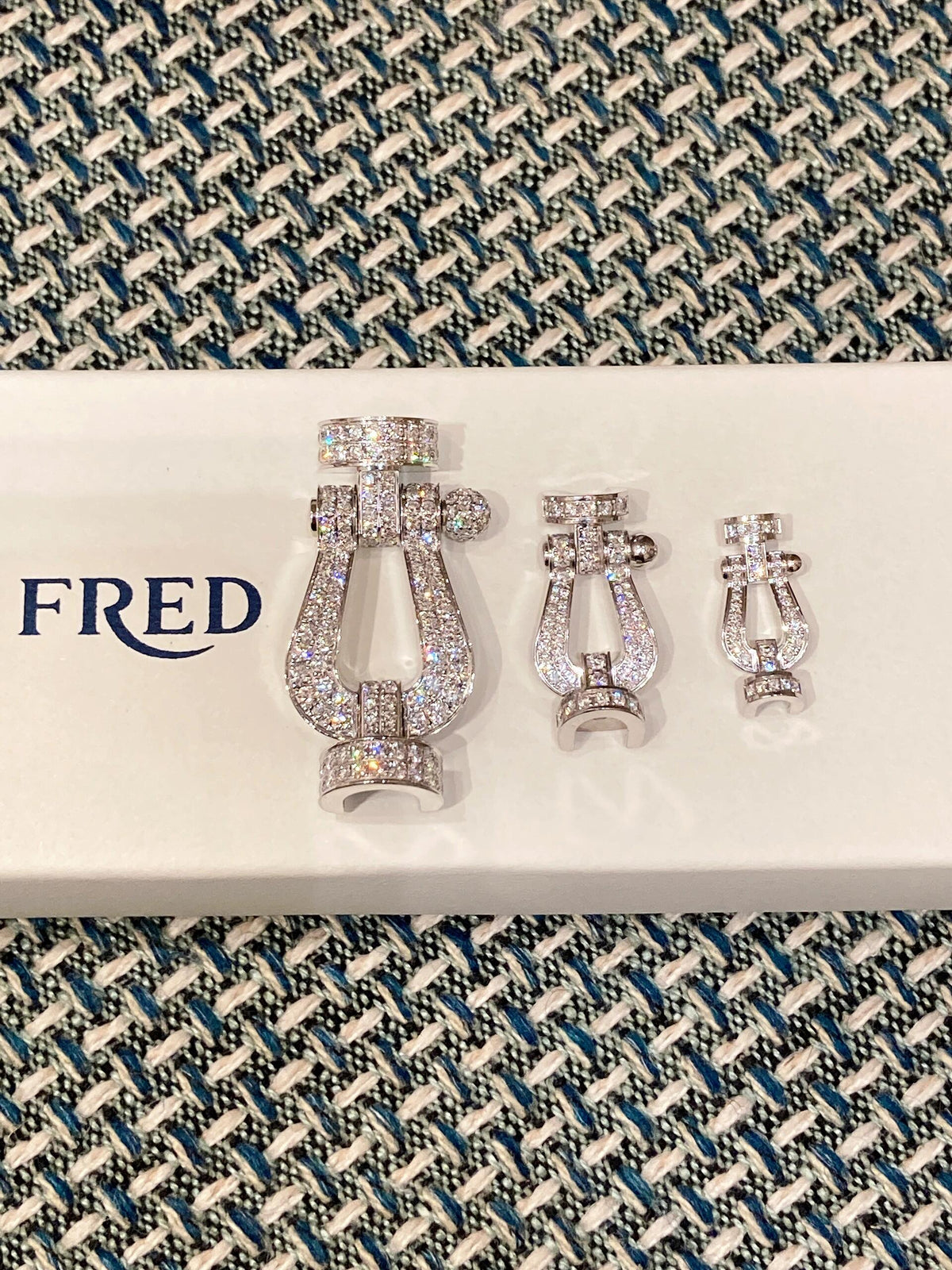 FRED ✨반짝반짝 반짝반짝 정말 반짝반짝해요! ! ｜프레드