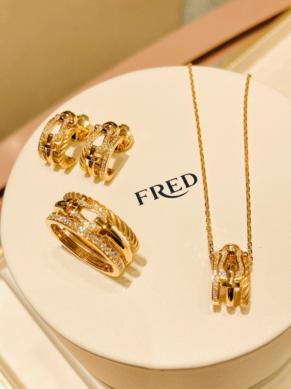 FRED ✨빛나게 빛나는 새로운 모델! 포스 10 라이즈