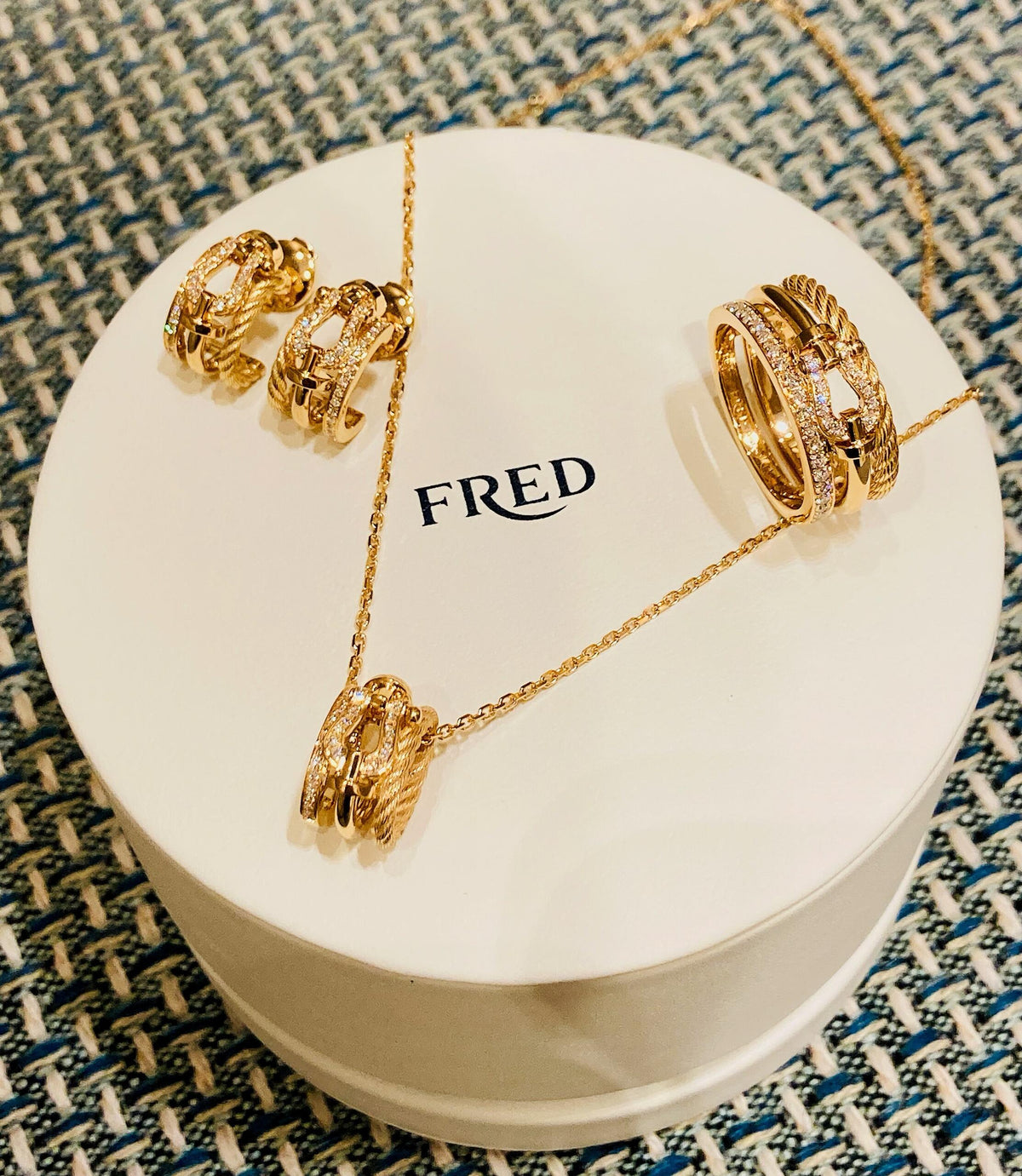 FRED ✨빛나게 빛나는 새로운 모델! 포스 10 라이즈