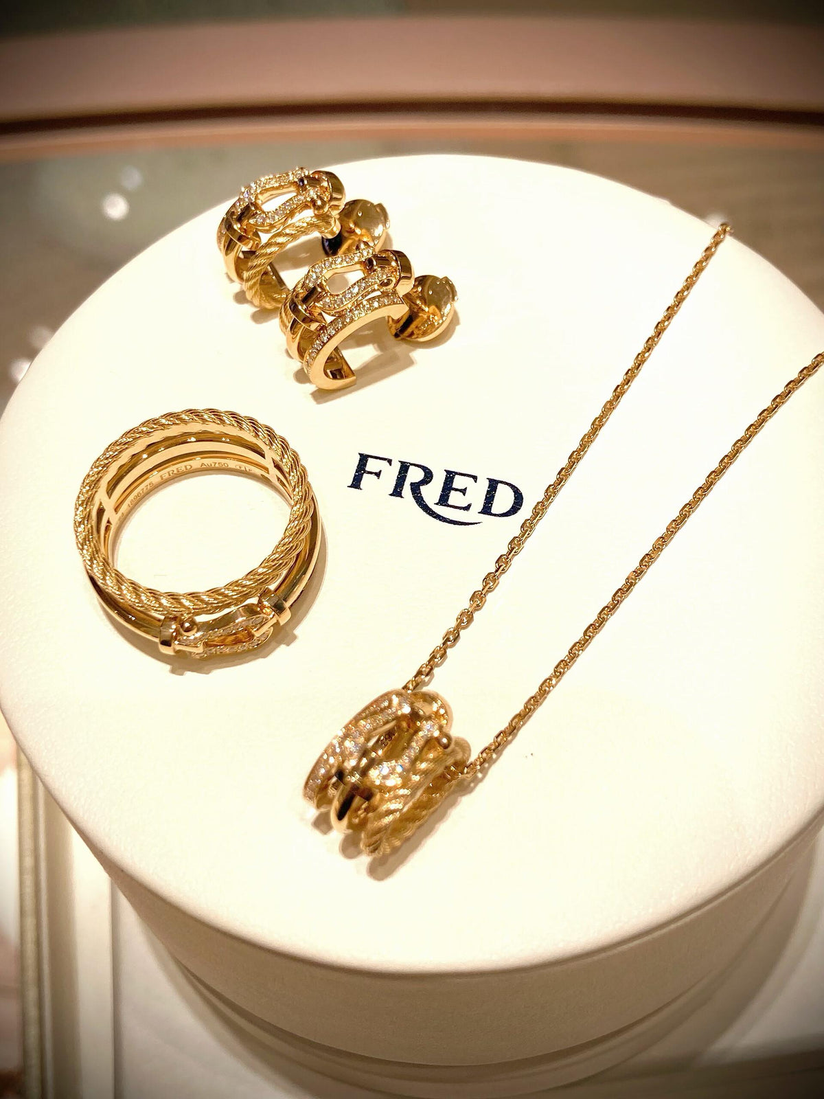 FRED ✨빛나게 빛나는 새로운 모델! 포스 10 라이즈