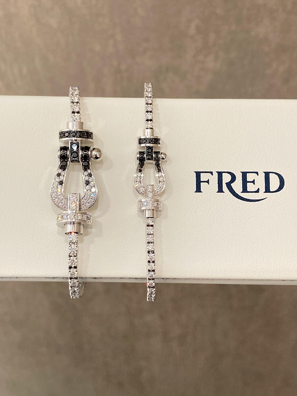 FRED 부와 자유에 대한 완벽한 해석! 프레드 팔찌