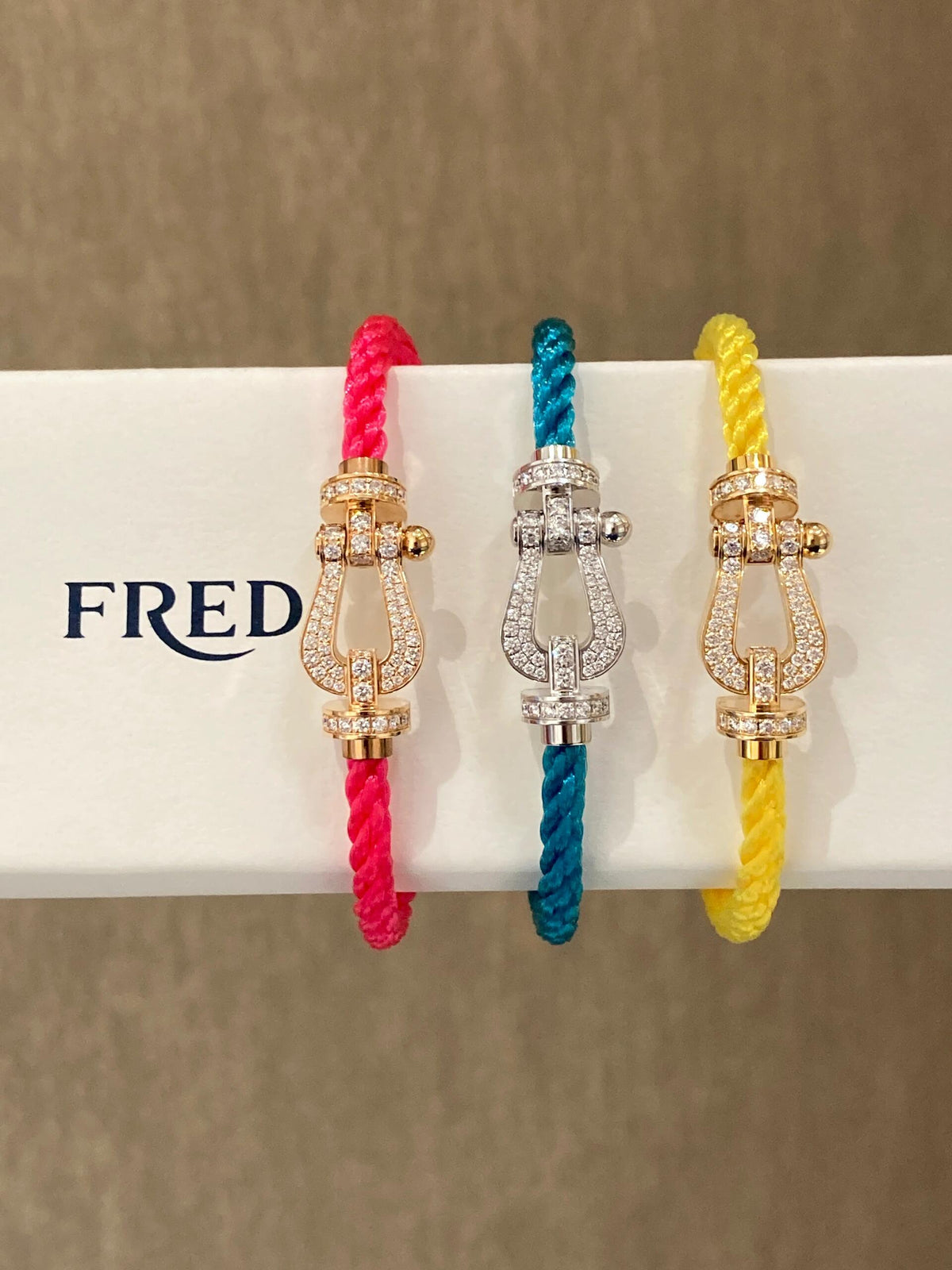 FRED 중요한 순간: 대학 입시 카운트다운! 행운을 빌며 정상에 오르세요!