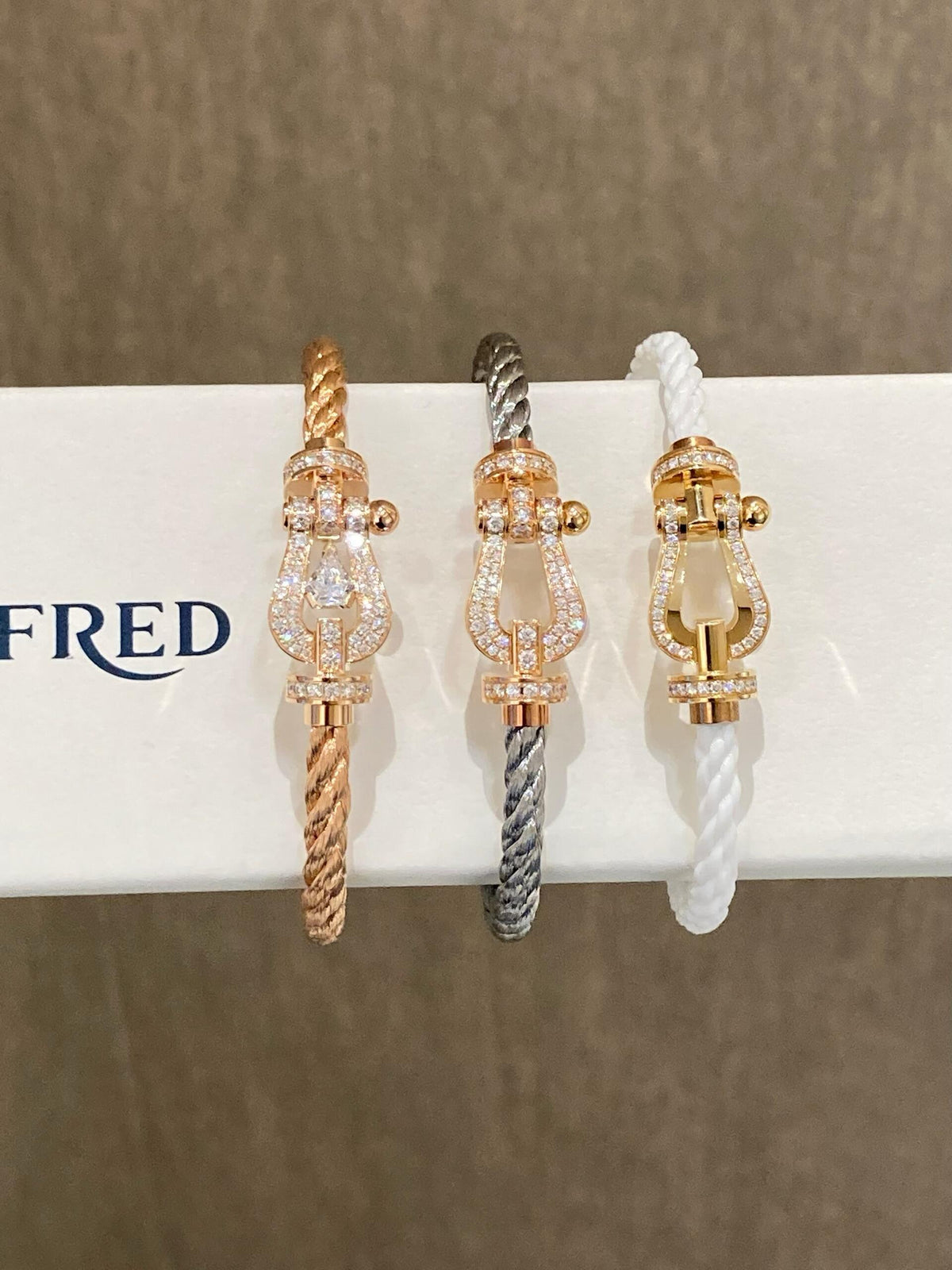 FRED 하얗고 풍요롭고 아름다운 세상의 부의 꽃! FRED페이든