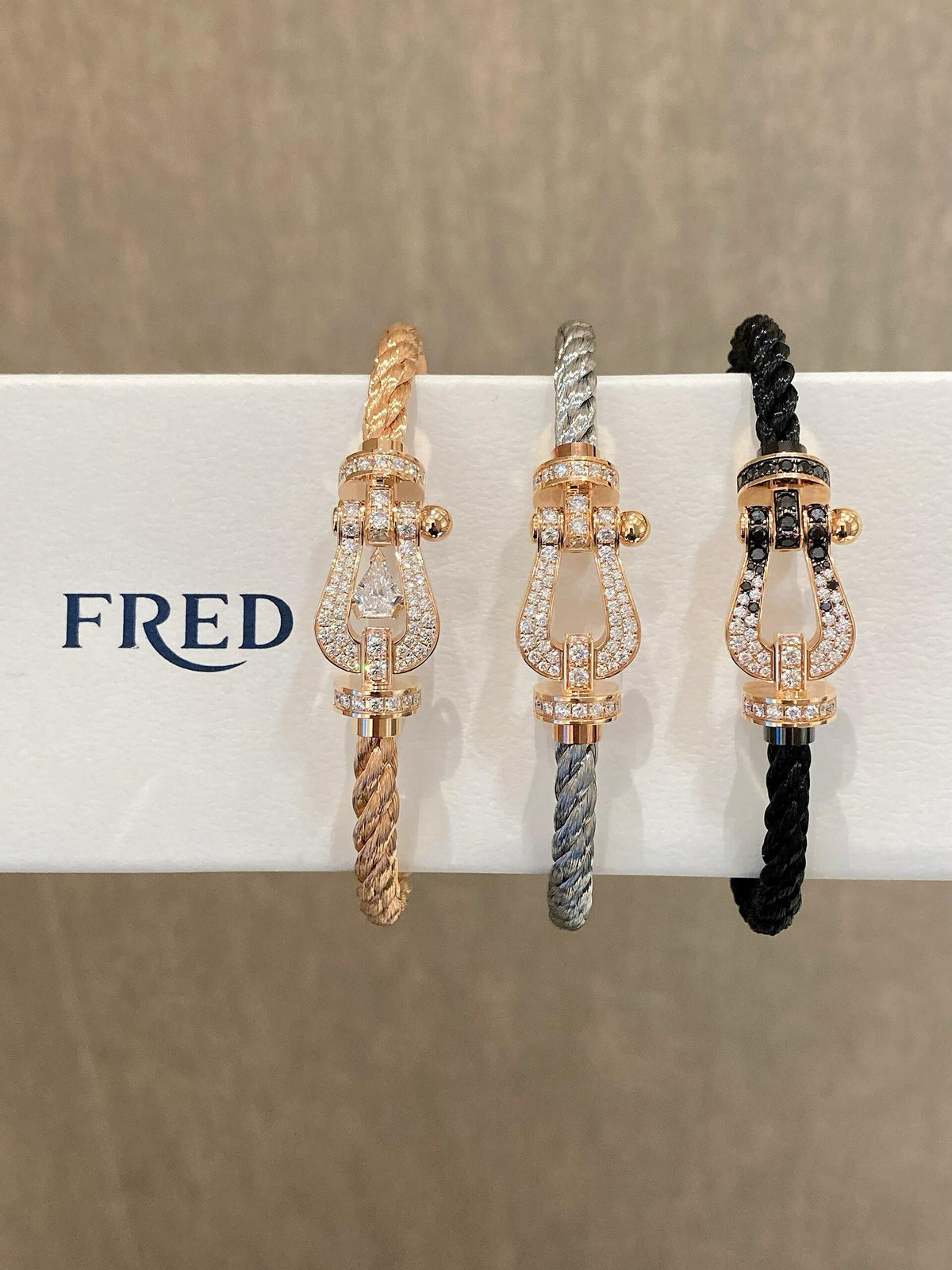 FRED 외모도 좋고 정말 잘생겼어요! ! FRED페이든