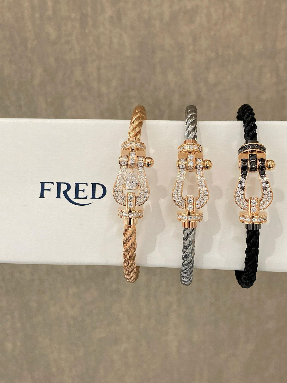 FRED 외모도 좋고 정말 잘생겼어요! ! FRED페이든